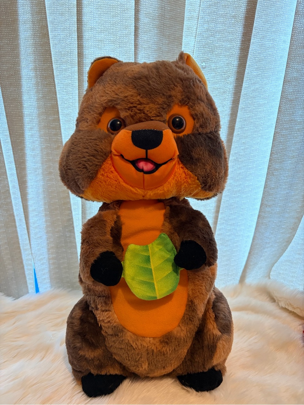 Brown bear